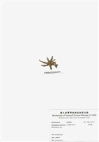 藏品(旋花藻)的圖片